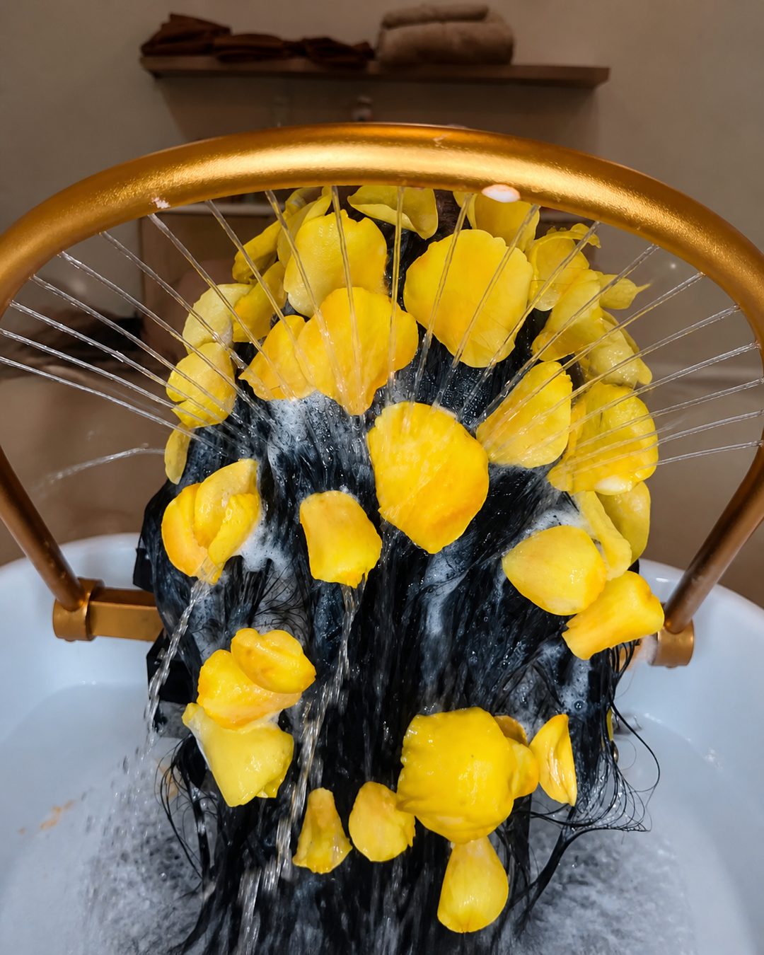 Signature head spa and scalp treatment at The Lush, Ottawa